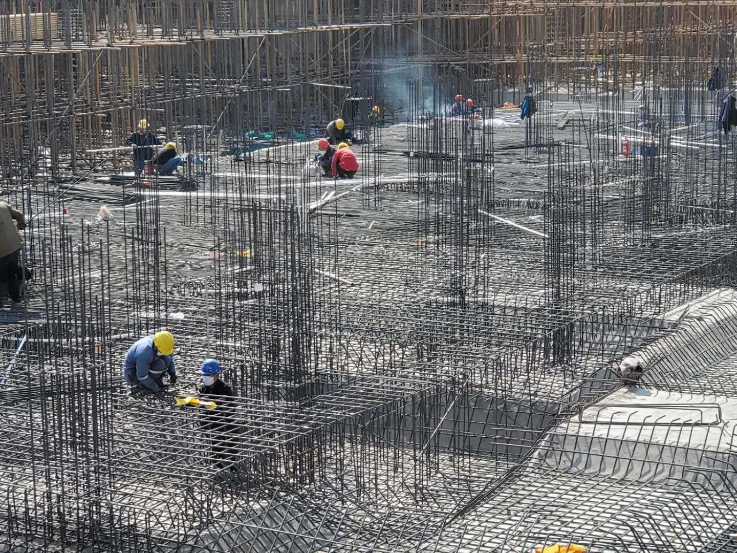 1584614074480785.jpg 1584614074480785.jpg