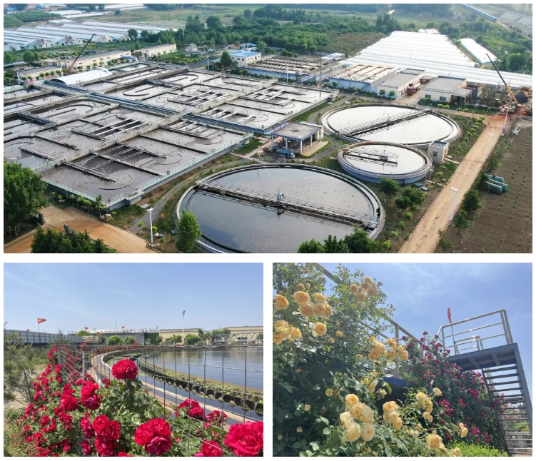 1715128886944847.png 微信截圖_20240508084052.png